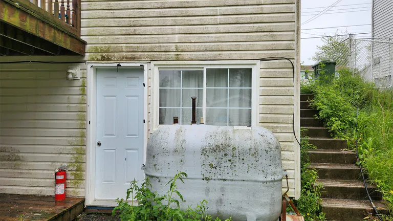 Rear house exterior with green organic growth before washing