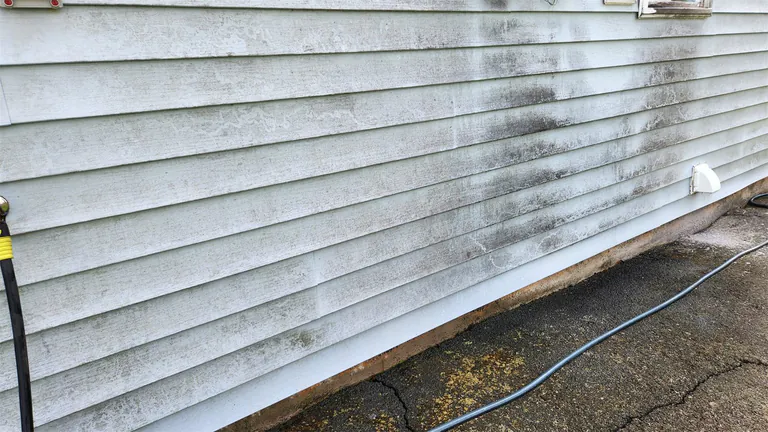 White siding with dark organic buildup before house washing