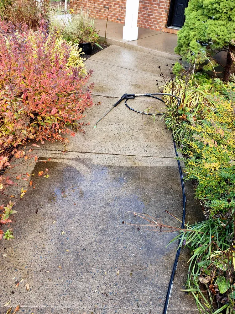 Walkway before and after professional pressure washing